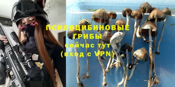 прущие крисы Нефтекумск