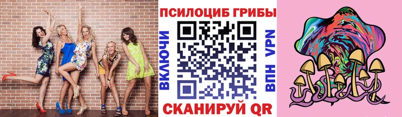 Галлюциногенные грибы мицелий Спас-Клепики